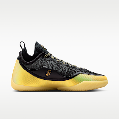 Nike LeBron XXIII Elite "Hurt Feelings" Basketbol Ayakkabısı görsel 3