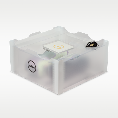 LeBron XXIII "Green With Envy" Basketball Shoes