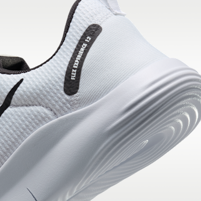 Nike Flex Experience Run 12 男款路跑鞋