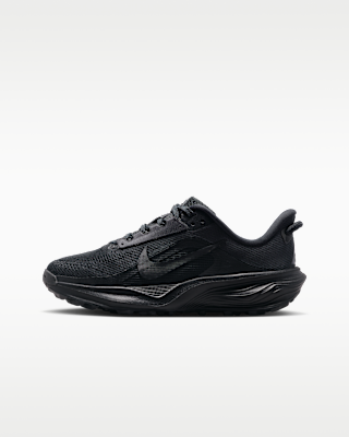 Nike ACG Pegasus Trail – IH2305-003