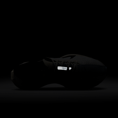 Nike Pegasus Plus Women's Road Running Shoes