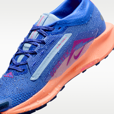 Nike Pegasus Trail 5 GORE-TEX waterdichte trailrunningschoenen voor dames