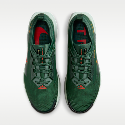 ナイキ ペガサス トレイル 5 GORE-TEX メンズ 防水 トレイル ランニングシューズ