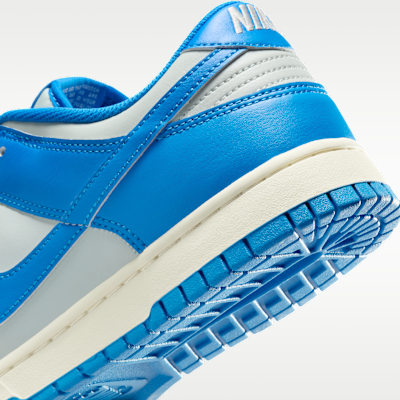 Nike Dunk Low Retro Men's Shoes