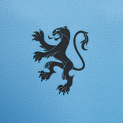 Netherlands 2025 Stadium Away (Women's Team) Big Kids' Nike Dri-FIT Soccer Replica Jersey