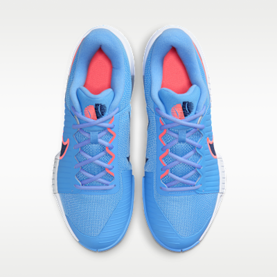 ナイキ GP チャレンジ プロ メンズ ハードコート テニスシューズ