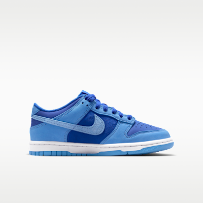 Nike Dunk Low SE Big Kids' Shoes