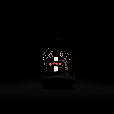 ナイキ ACG マウンテン フライ LOW GORE-TEX SE メンズシューズ