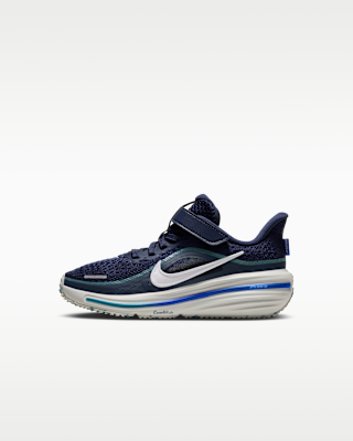 Детские кроссовки Nike Winflo 12 Little Kids' Road для бега