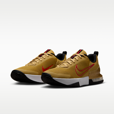 Tenis de entrenamiento para hombre Nike Air Max Alpha Trainer 6