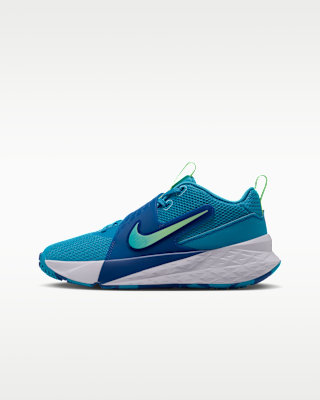 Детские кроссовки Nike Team Hustle D 12 Big Kids' Basketball для баскетбола