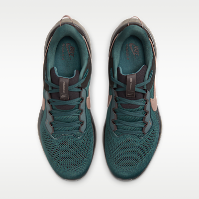 Tenis para hombre Nike Air Zoom Pegasus 41 SP