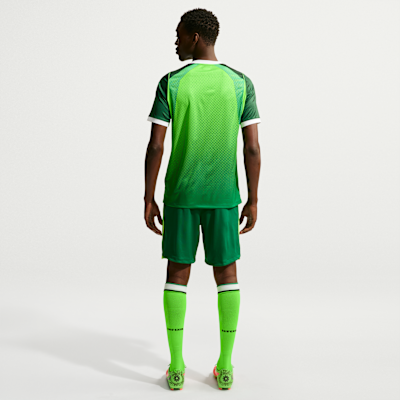 Nike Nijerya 2026 Stadyum İç Saha Nike Dri-FIT Erkek Futbol Taraftar Şortu görsel 5