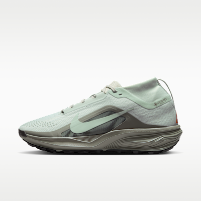 Nike ACG Pegasus Trail GORE-TEX Su Geçirmez Arazi Tipi Erkek Koşu Ayakkabısı