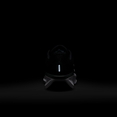 Nike Winflo 11 Men's Road Running Shoes