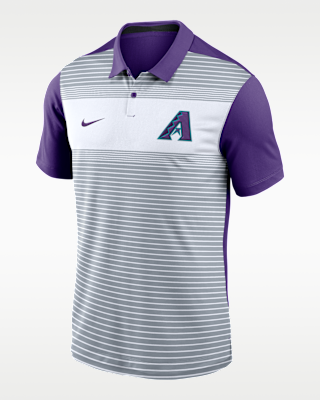 Мужские  Arizona Diamondbacks City Connect Legacy Icon Vapor Nike Dri-FIT MLB Polo
