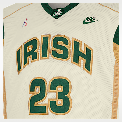 LeBron Nike Men's Basketball Jersey