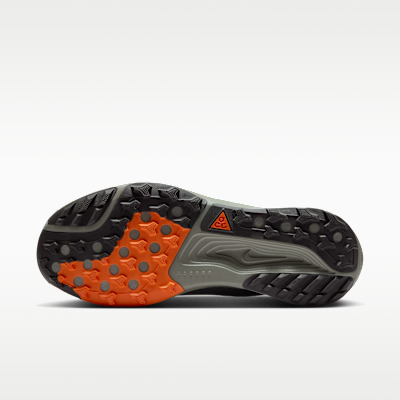Nike ACG Pegasus Trail GORE-TEX Su Geçirmez Arazi Tipi Erkek Koşu Ayakkabısı görsel 2