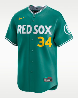 Мужские джерси David Ortiz Boston Red Sox City Connect Men’s Nike Dri-FIT ADV MLB Limited Jersey