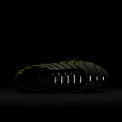 Nike Air Max Plus Men's Shoes