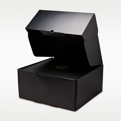 LeBron XXIII 'Point Forward' EP Basketball Shoes