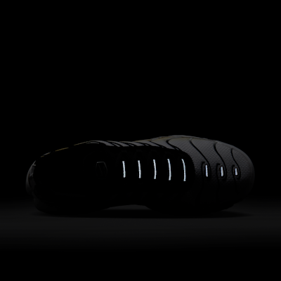 나이키 에어맥스 플러스 남성 신발