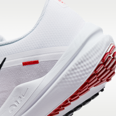 Nike Winflo 10 Men's Road Running Shoes