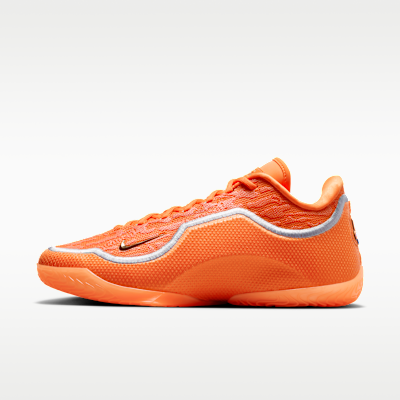 LeBron XXIII « Shoe Bag »