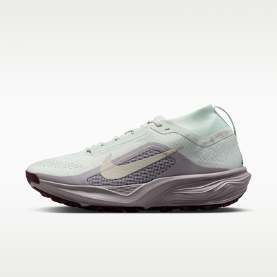 Nike ACG Pegasus Trail GORE-TEX Su Geçirmez Arazi Tipi Kadın Koşu Ayakkabısı