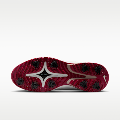 ナイキ ビクトリー ツアー 4 ゴルフシューズ (ワイド)