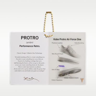 Nike Air Force 1 Low Protro Men's Shoes