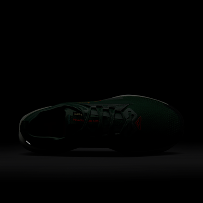 ナイキ ペガサス トレイル 5 GORE-TEX メンズ 防水 トレイル ランニングシューズ