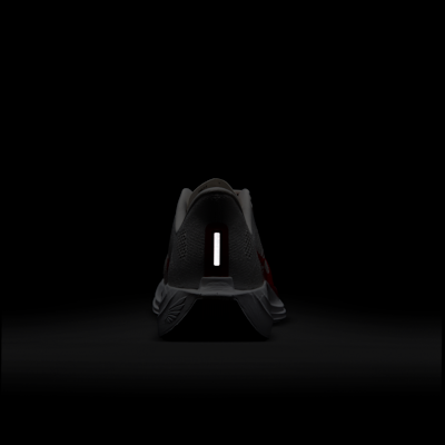 Nike Pegasus Plus Men's Road Running Shoes