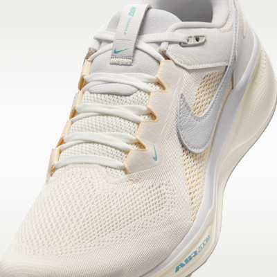 Nike Air Zoom Pegasus 41 SP Men's Shoes