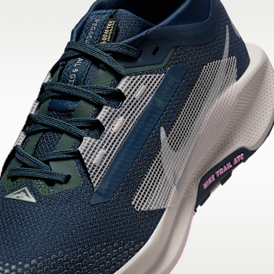 รองเท้าวิ่งเทรลผู้หญิงกันน้ำ Nike Pegasus Trail 5 GORE-TEX