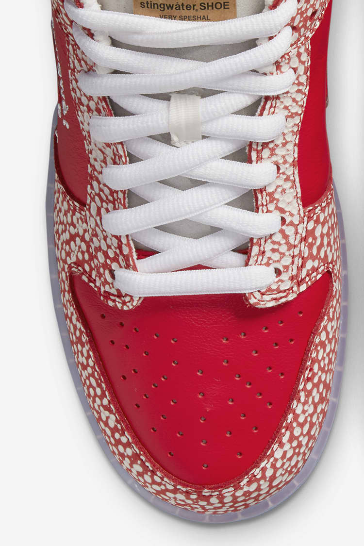 nike dunk low stingwater