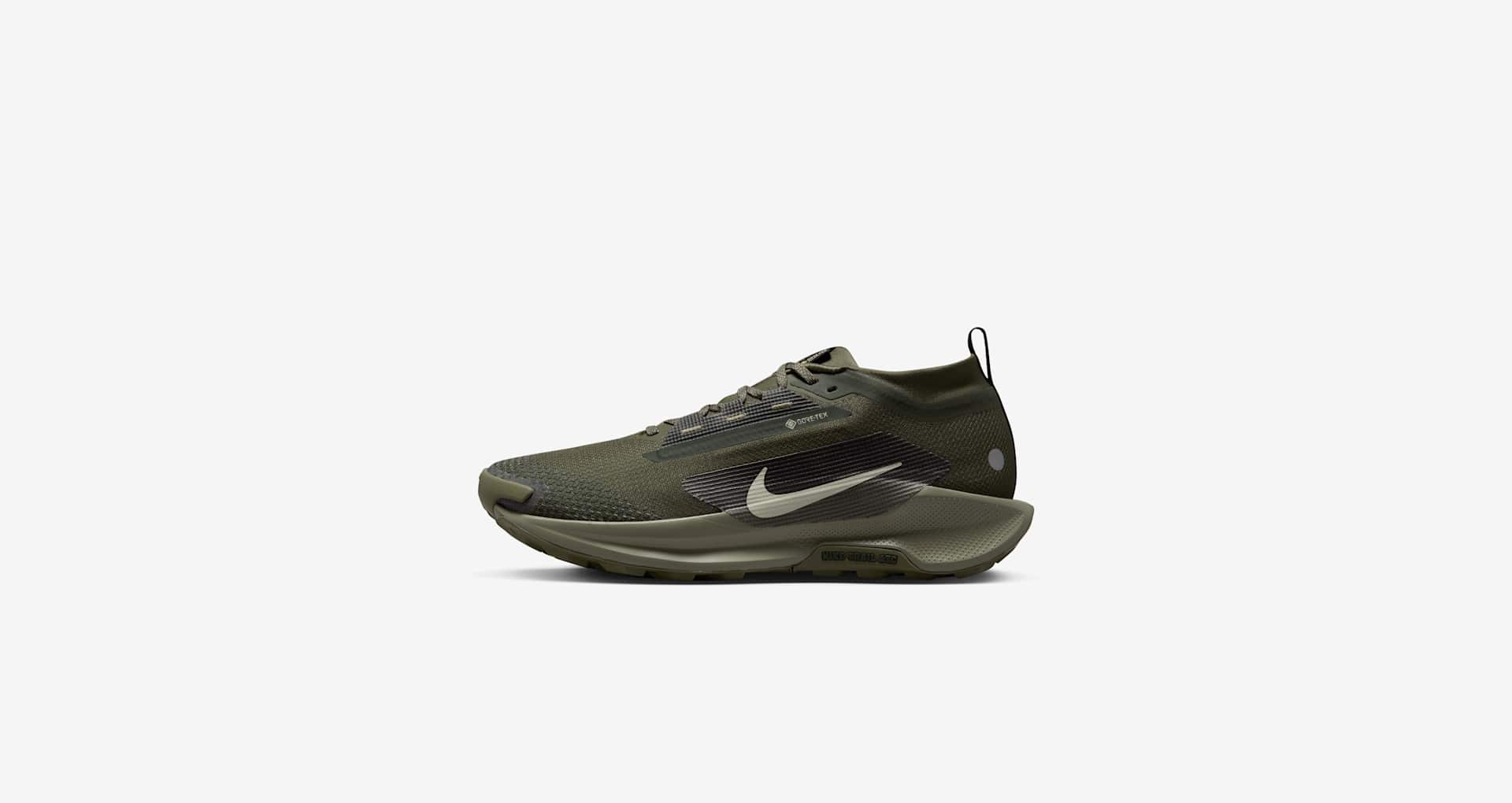 Pegasus Trail 5 GORE-TEX 'Sequoia and Cargo Khaki' (HQ7494-300
