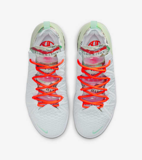 diana taurasi x nike lebron 18 la cabra