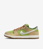 Nike SB Dunk Low Pro