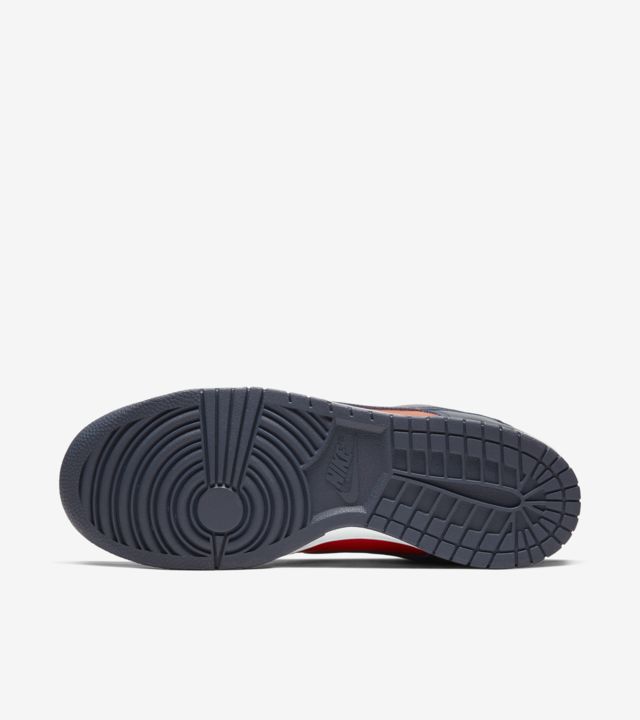 dunk low champ colours