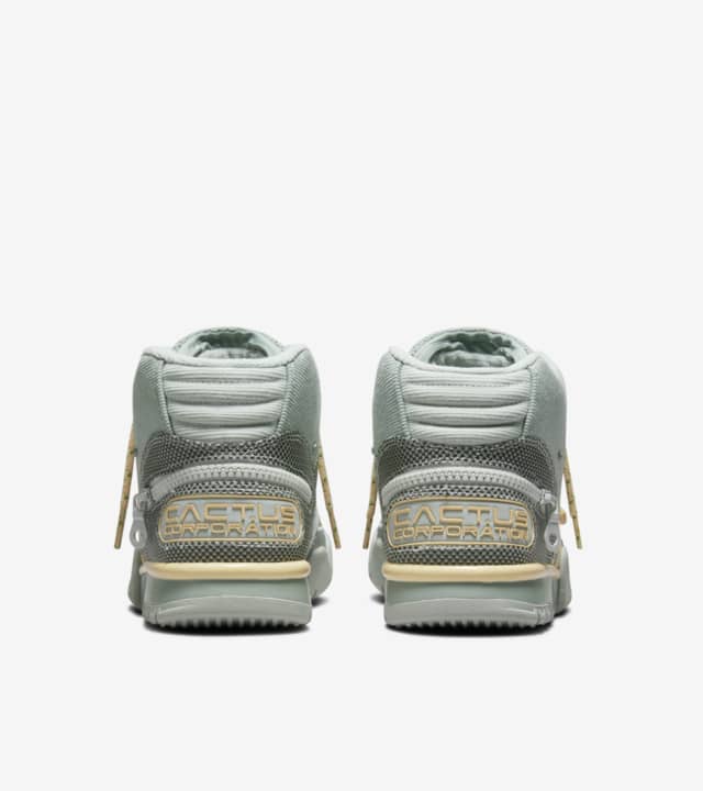 Air Trainer 1 x CACT.US CORP 'Grey Haze and Dusty Sage' (DR7515-001 ...