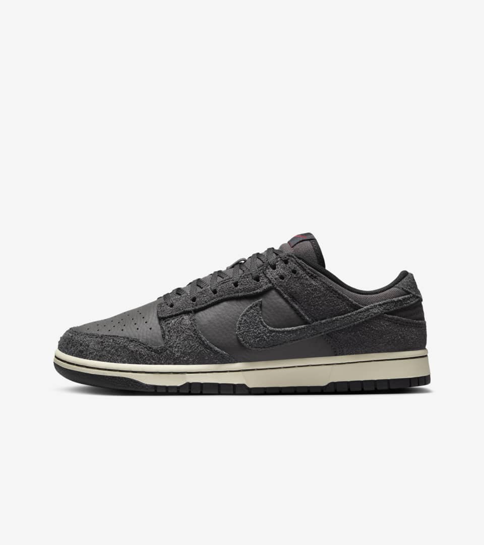 Nike Dunk Low Retro Premium Schuh (Herren) Image