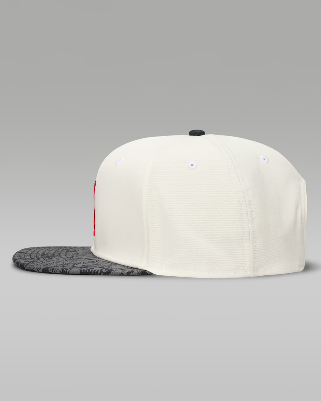 Jordan Pro Structured Cap