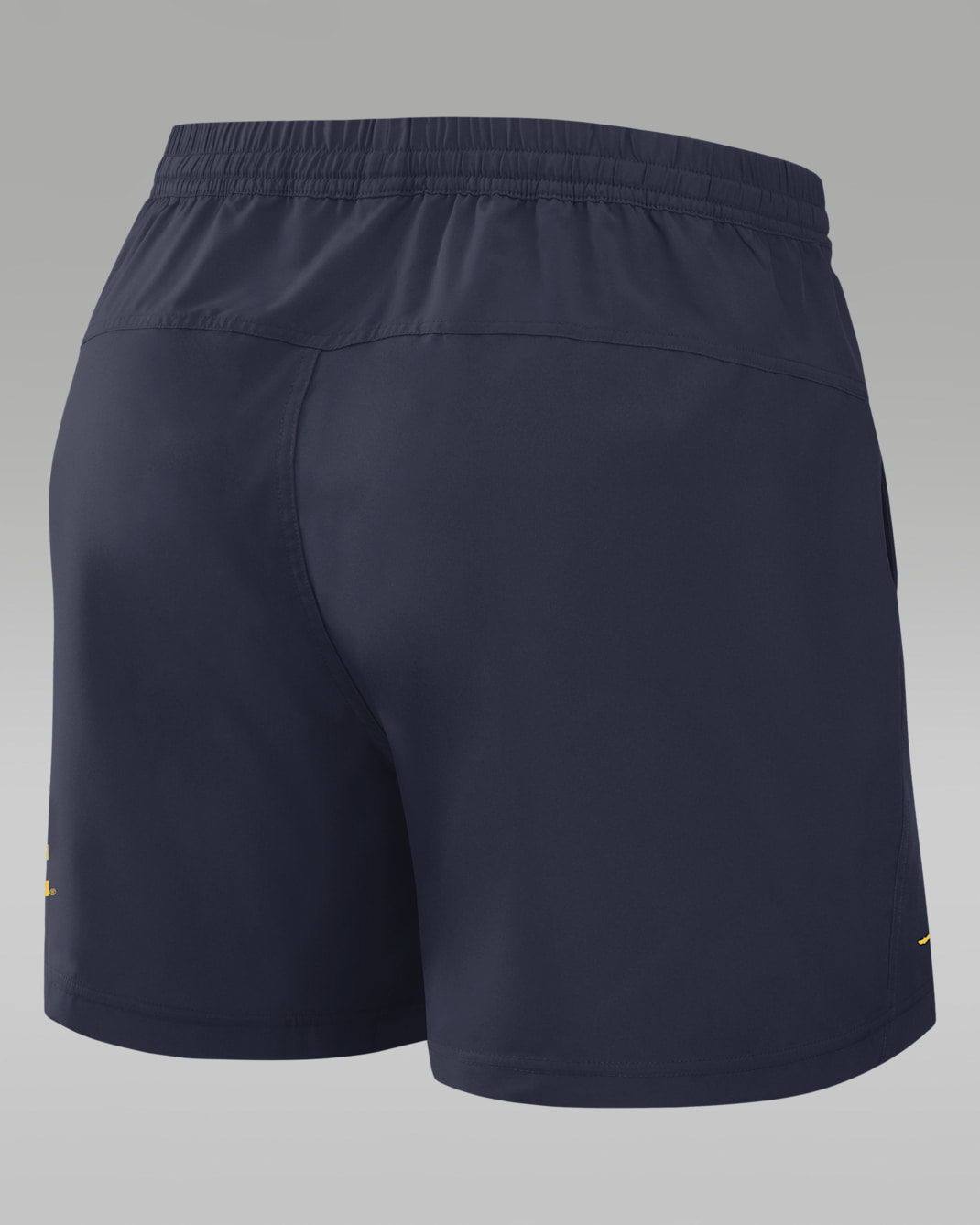 Michigan Primetime Primary Logo Men's Jordan Brand Dri-FIT College Form Shorts