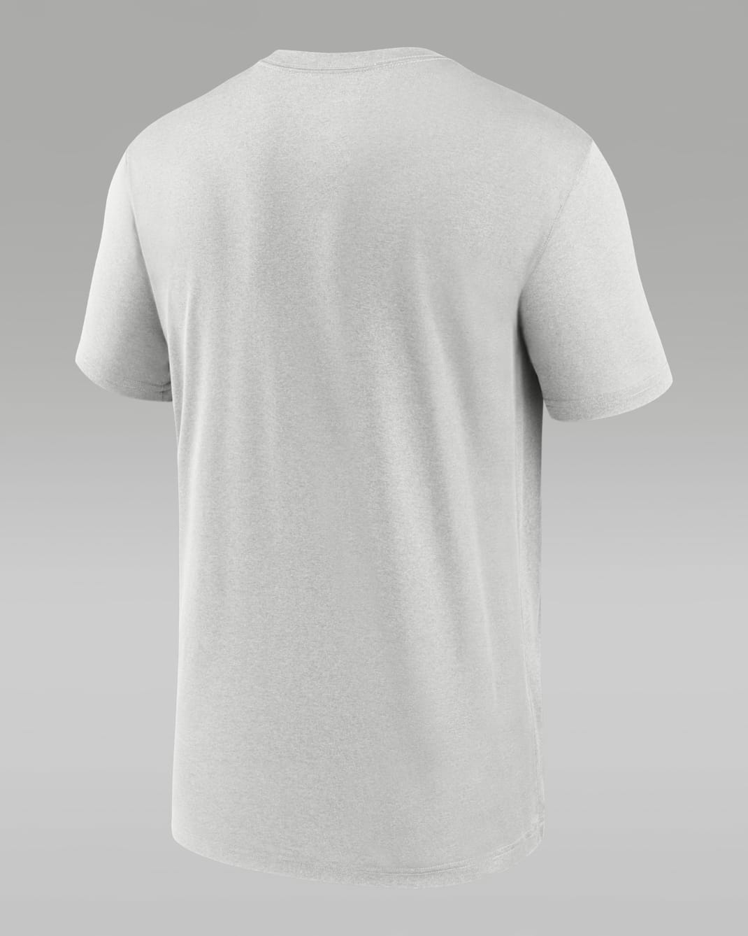 Michigan Sideline Legend Men's Jordan Brand Dri-FIT College T-Shirt