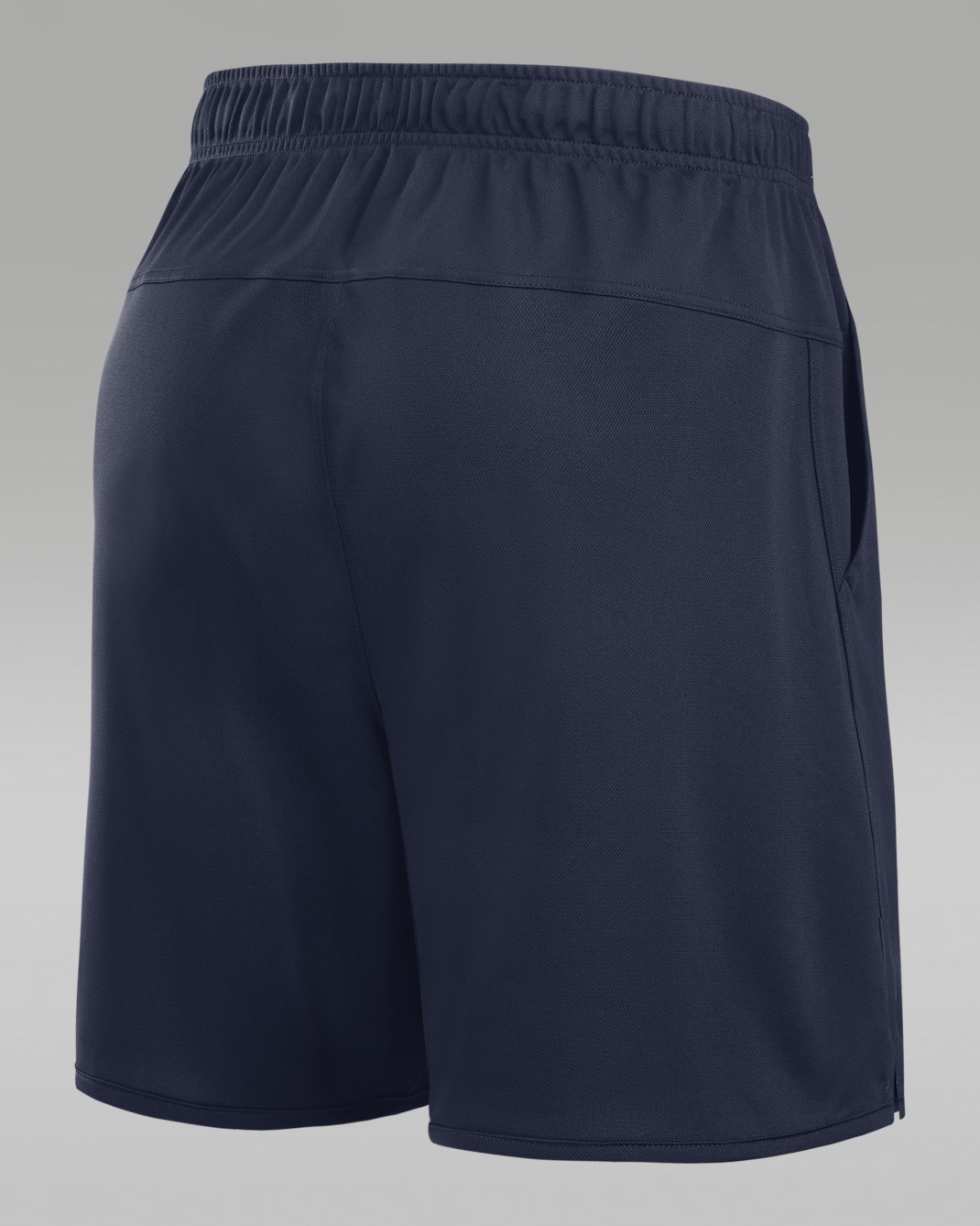 Michigan Totality Men's Jordan Dri-FIT College Shorts