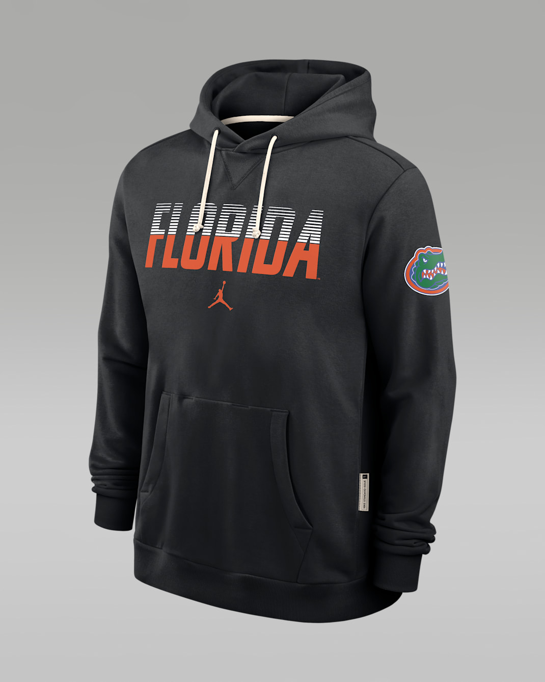 Florida Sideline Standard Issue Men's Jordan Brand Dri-FIT College Pullover Hoodie - Black