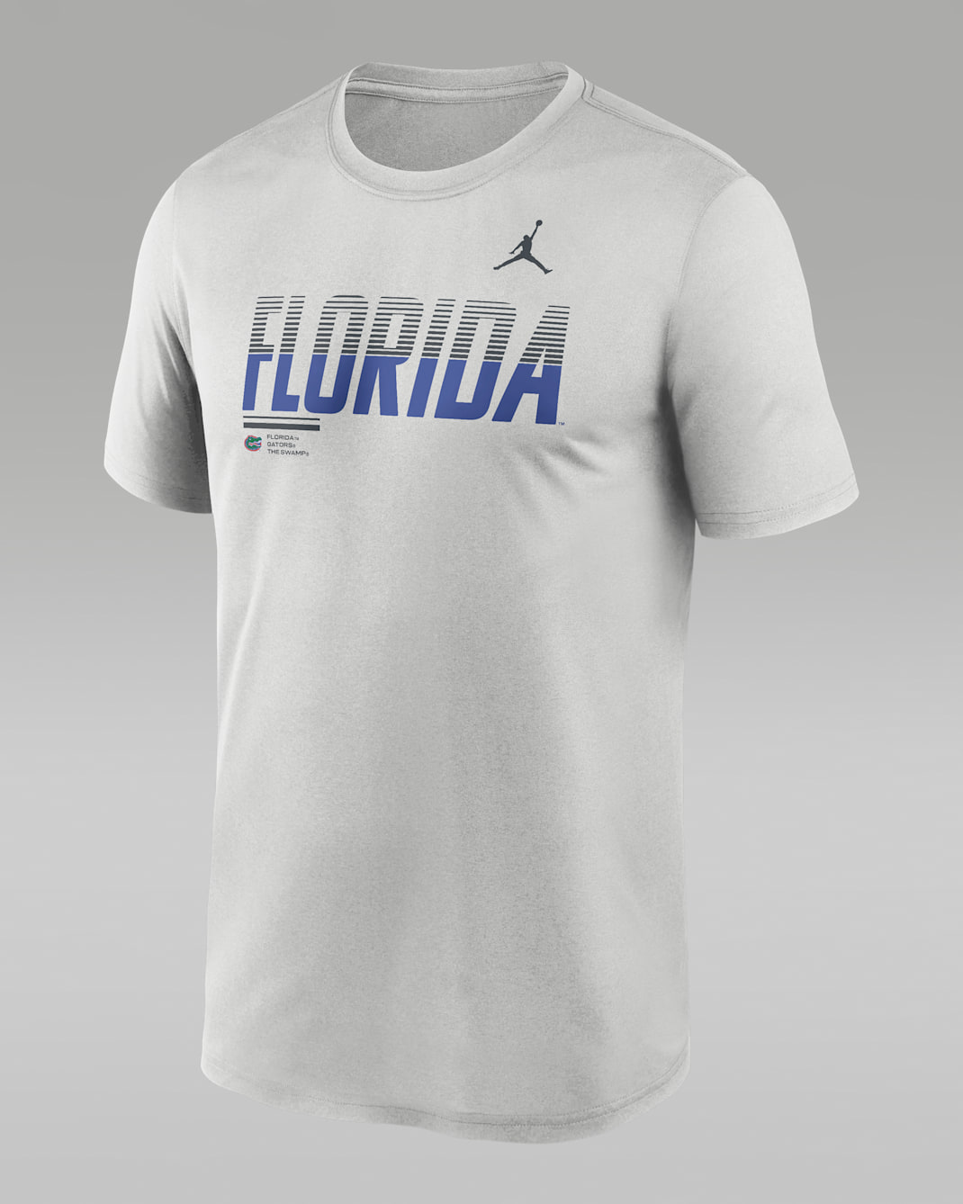 Florida Sideline Legend Men's Jordan Brand Dri-FIT College T-Shirt - Grey