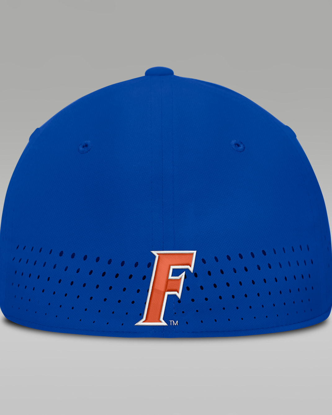 Florida Sideline Club Gameday Men's Jordan Brand Dri-FIT College Hat