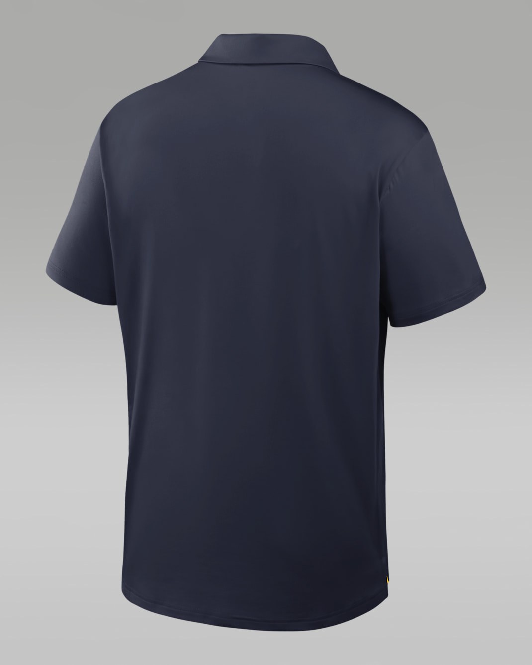 Michigan Tour Men's Jordan Brand Dri-FIT College Polo